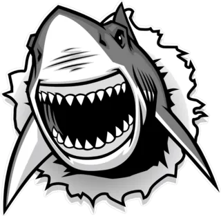 Great White Shark Ripping Threw Sticker Die Cut Vinyl Decal