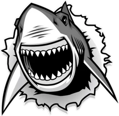 Great White Shark Ripping Threw Sticker Die Cut Vinyl Decal