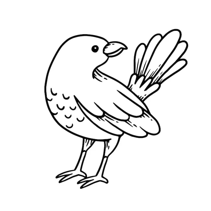 Vector hand drawn bird outline  Die Cut Vinyl Decal