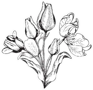 Hand Drawn Black And White Bouquet Of Tulips Sticker Die Cut Vinyl Decal