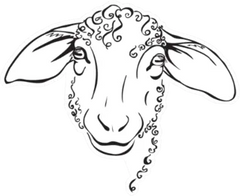 Head Sheep, Stylized Black And White Sticker Die Cut Vinyl Decal