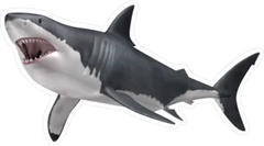Hunting Great White Shark Sticker Die Cut Vinyl Decal