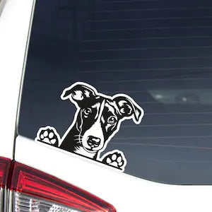 May include: Black and white silhouette Die Cut Vinyl Decal