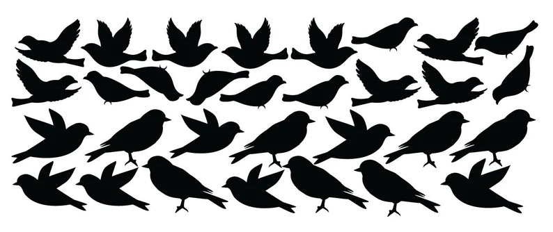 Bird Wall Decal  | Die Cut Vinyl Decal