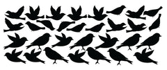Bird Wall Decal | Die Cut Vinyl Decal
