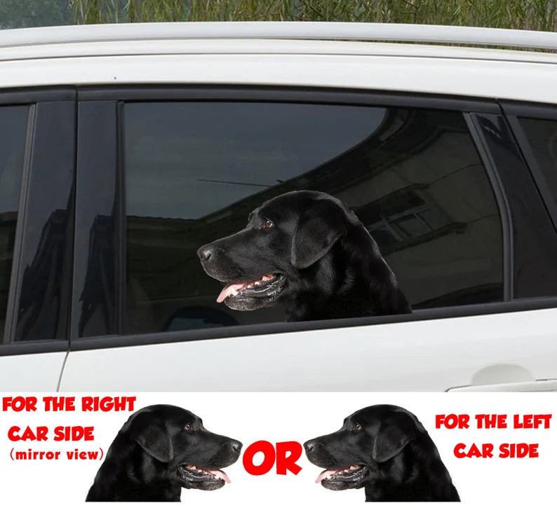 Black lab car window  Decal - Die Cut Vinyl Decal