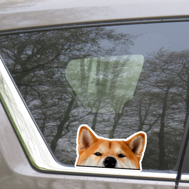Peeking Red Shiba Inu Car Decal | Die Cut Vinyl Decal