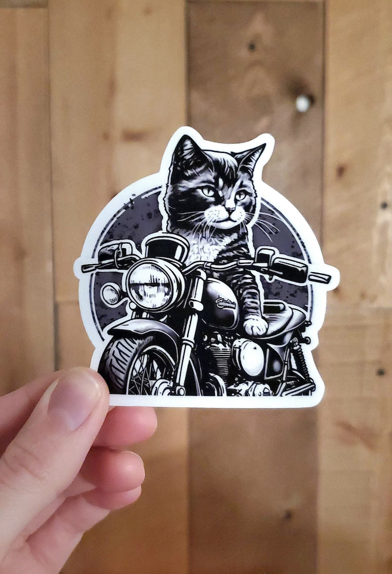 Motorcycle Helmet Decal | Die Cut Vinyl Decal