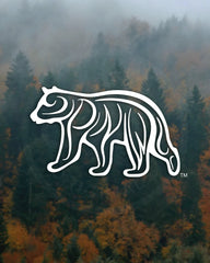 PNW Black Bear Vinyl Decal | Die Cut Vinyl Decal