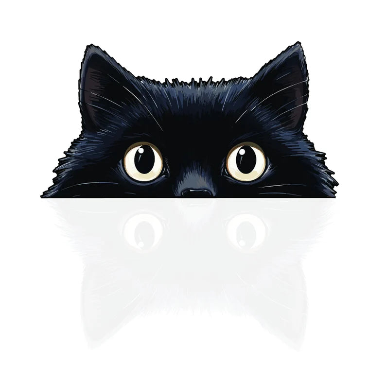 Funny Black cat Decal | Die Cut Vinyl Decal