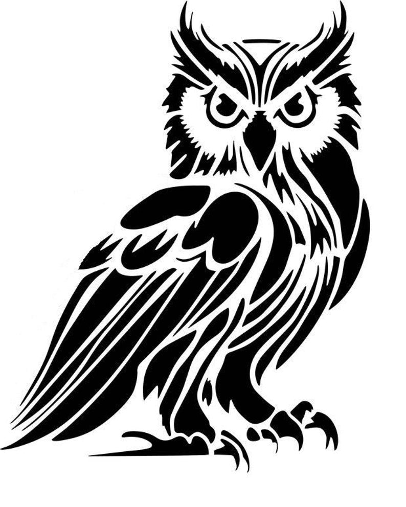 owl vinyl decal decor car van bonnet side sticker hood  graphic sign motorhome campervan wall art Die Cut Vinyl Decal