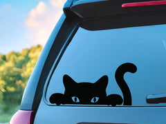 Peeker  Decal | Die Cut Vinyl Decal