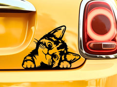 Cat Peeker Decal | Die Cut Vinyl Decal