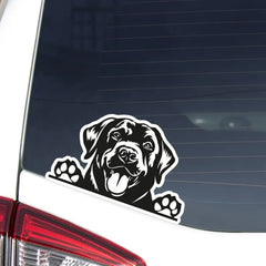 Black Labrador Car Decal - Die Cut Vinyl Decal
