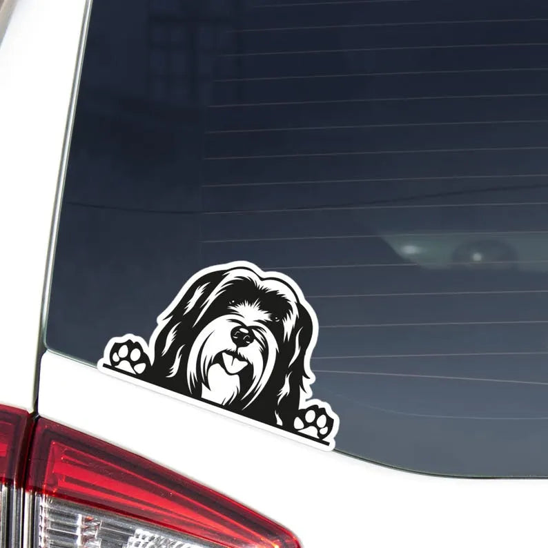 May include: Black and white car Die Cut Vinyl Decal