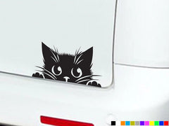 PEEKING PEEPING CAT Eyes Boot Funny Car Decals Bumper Window Van | Die Cut Vinyl Decal