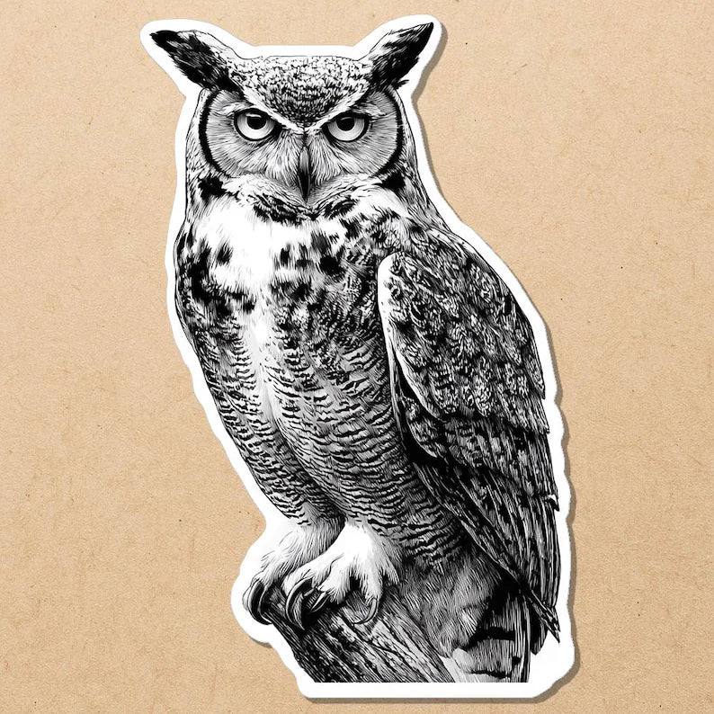 Black & White Owl Decal - Die Cut Vinyl Decal