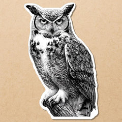 Black & White Owl Decal - Die Cut Vinyl Decal