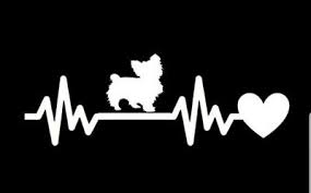 Yorkie heart Die Cut Vinyl Decal
