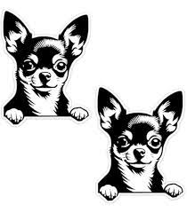 Yorkshire Terrier Peeking Dog Die Cut Vinyl Decal