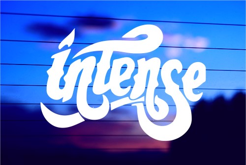 intense-jdm-performance-vinyl-car-decal-die-cut-sticker