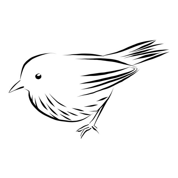Wren, Sparrow  Die Cut Vinyl Decal