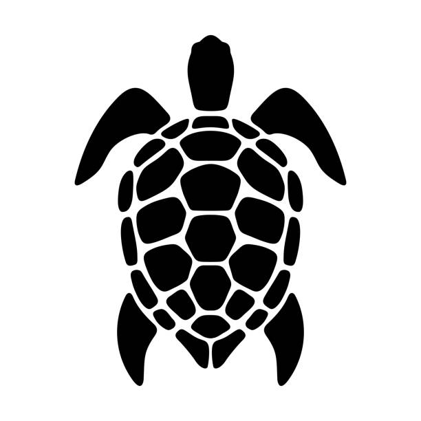 Turtle. Vector black silhouette  Die Cut Vinyl Decal