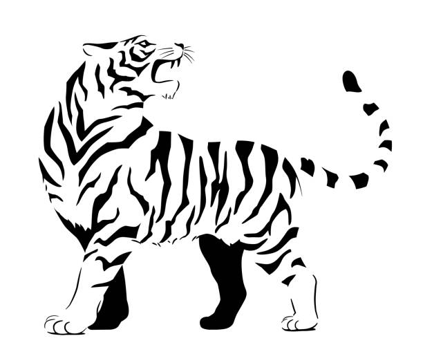 Monochrome tiger Die Cut Vinyl Decal