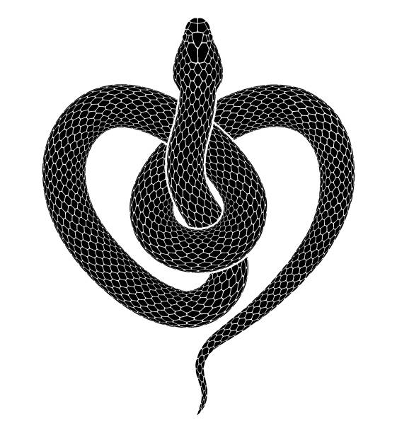 Vector tattoo design of snake curled   Die Cut Vinyl Decal