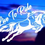 live-to-ride-horse-vinyl-decal-on-car-window-bumper