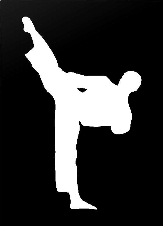 martial‑arts‑vinyl‑decal size options for cars trucks laptops