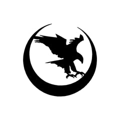 nighthawk-custom-logo-vinyl-decal-car-window-laptop
