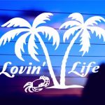 palm-trees-lovin-life-vinyl-decal-on-car-window-bumper