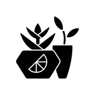 Potted Succulents Transfer Sticker Die Cut Vinyl Decal