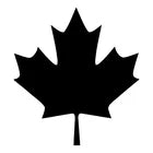 Canadian Maple leaf  Die Cut Vinyl Decal