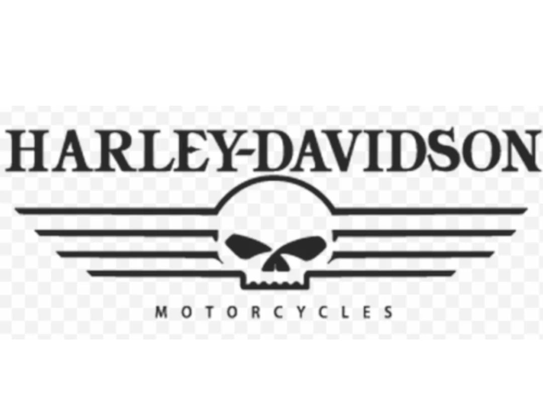 Area Willie G Motorcycle Harley Vinyl Decal ANY Color Die Cut Vinyl Decal