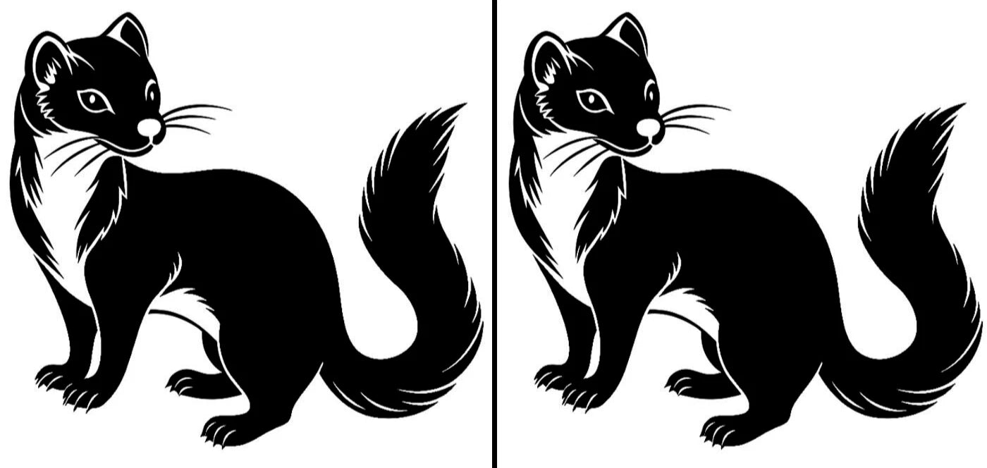 Ferrets Two 5" Die Cut Vinyl Decal