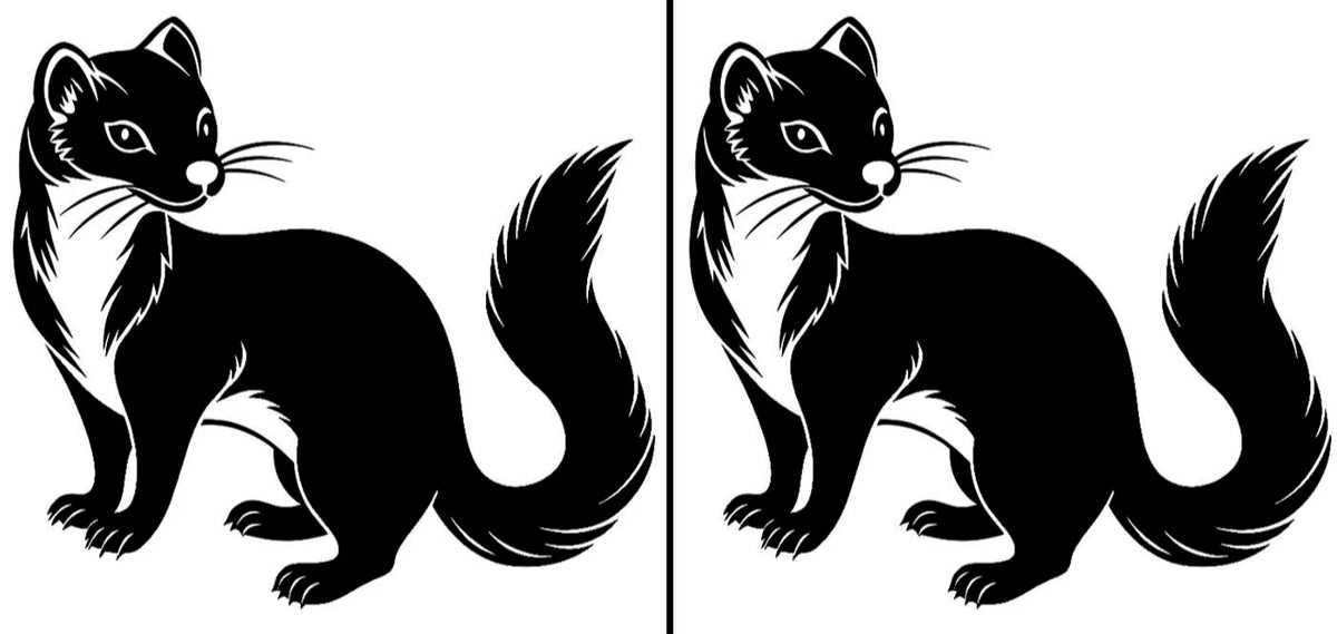 Ferrets Two 5" Die Cut Vinyl Decal