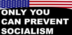 Only You Can Prevent Socialism USA Die Cut Vinyl Decal