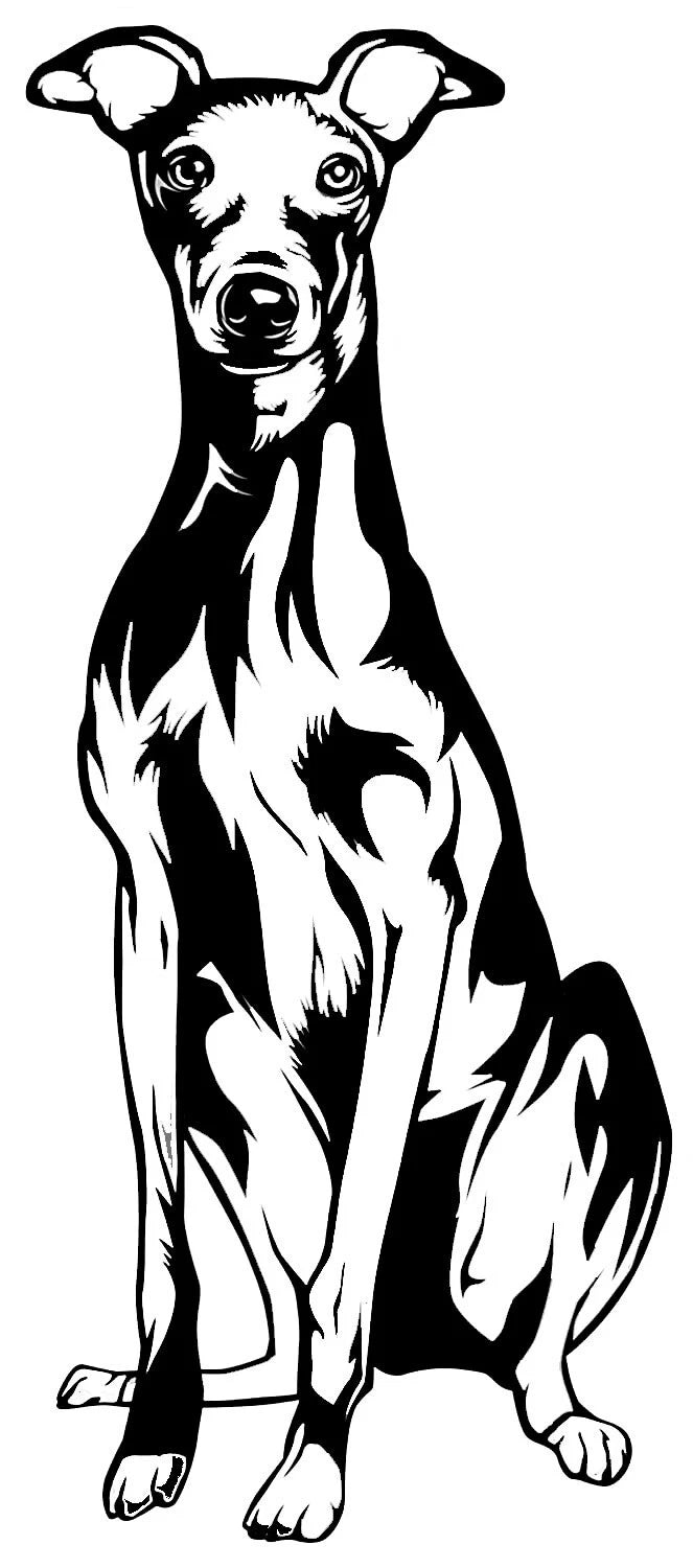 Greyhound sitting Die Cut Vinyl Decal