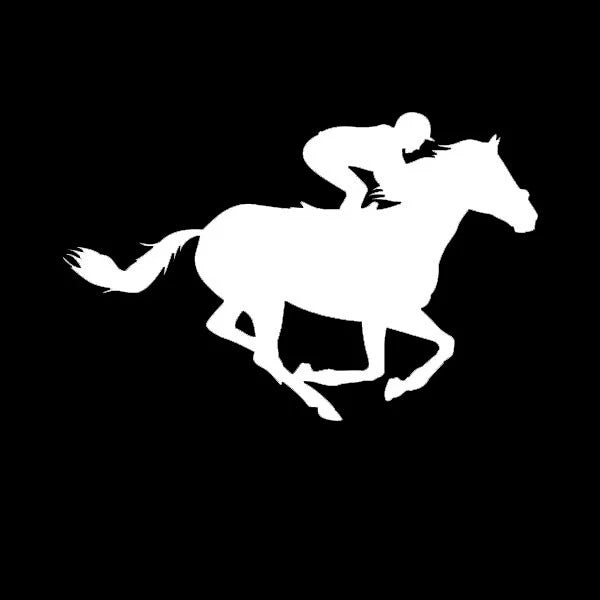 Jockey Die Cut Vinyl Decal