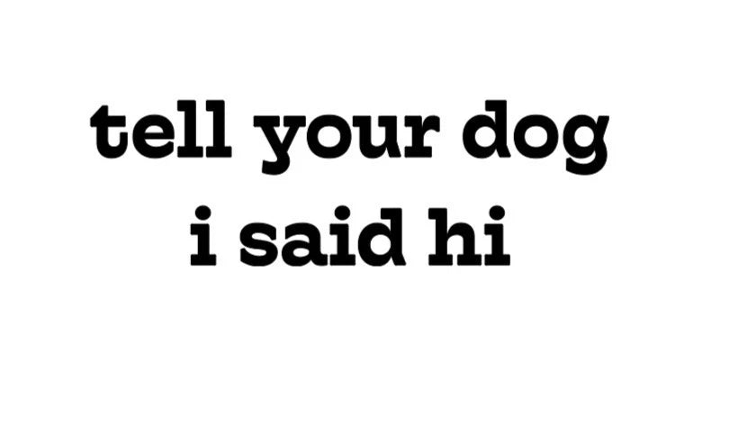 Tell Your Dog I said Hi Car Truck Van Funny Animal Pet Vinyl Decal Die Cut Vinyl Decal