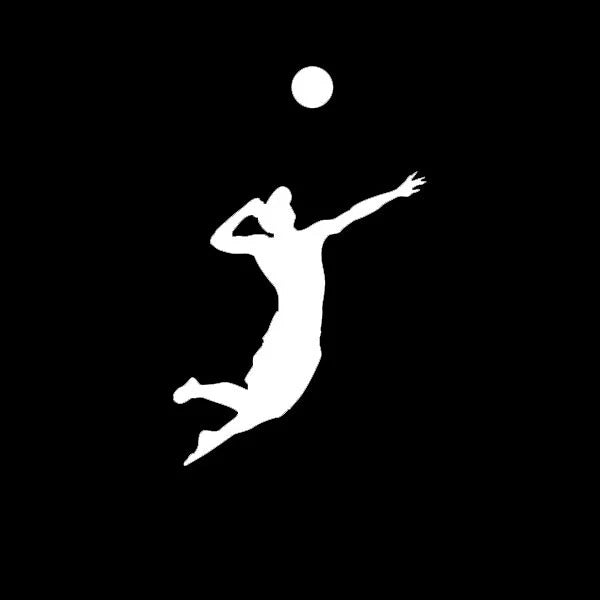 Mens Volleyball Die Cut Vinyl Decal