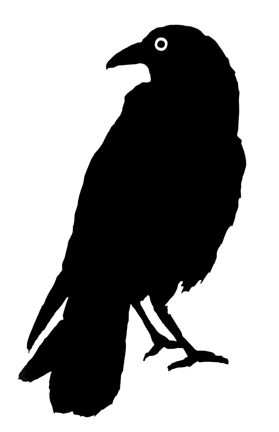 Raven Bumper For Windows, Cars, Trucks, Laptops, Etc.