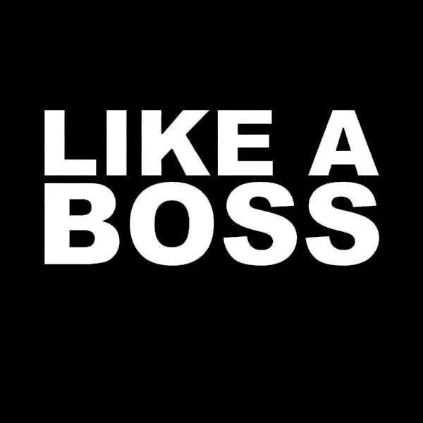 Like A Boss Die Cut Vinyl Decal