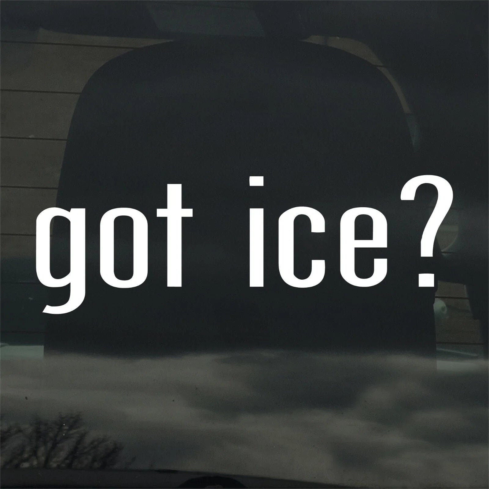 Got Ice? Custom Die Cut Vinyl Decal