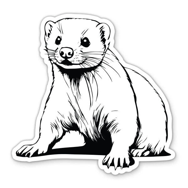 Ferret Cute Die Cut Vinyl Decal