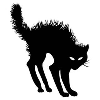 Scary Halloween Black Cat Sticker Die Cut Vinyl Decal