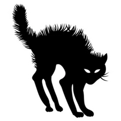 Scary Halloween Black Cat Sticker Die Cut Vinyl Decal