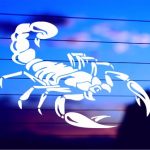 scorpion-tribal-vinyl-decal-on-car-window-bumper